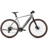 Elektrofahrrad Adore Silber - Silberfarben, Basics, Metall (180/70/100cm)