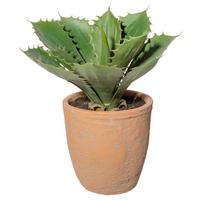 Kunstpflanze Sukkulenten Grün/Naturfarben, 25 cm - Naturfarben/Grün, Design, Keramik/Kunststoff (25cm) - P & B