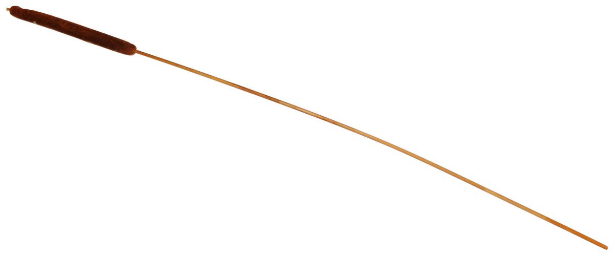 Dekorační rostlina Rákos, V: 77cm - přírodní barvy/hnědá, přírodní materiály (77cm) - Modern Living
