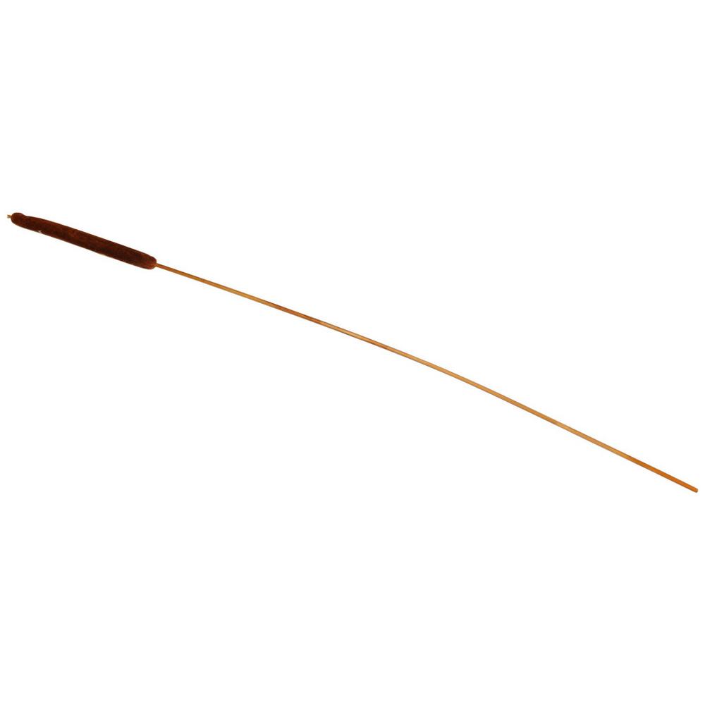 Dekorační rostlina Rákos, V: 77cm