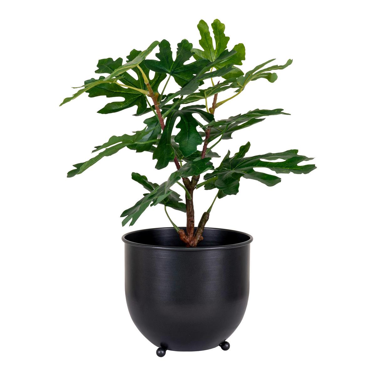 Kunstpflanze Fig Grün B: 40 cm - Grün, Design (40/60/40cm)