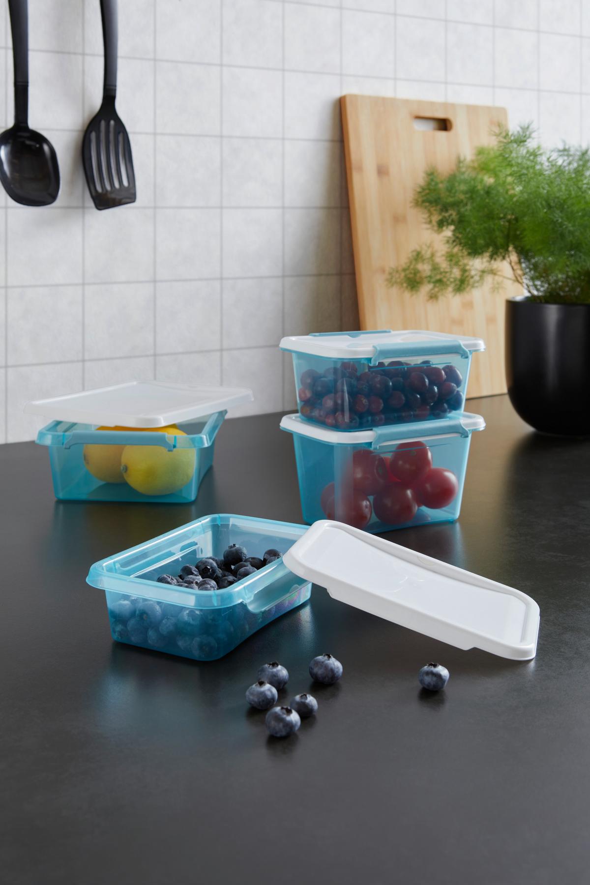 Aufbewahrungsdose Bianca - Blau/Transparent, Basics, Kunststoff (61/40/140cm) - Luca Bessoni