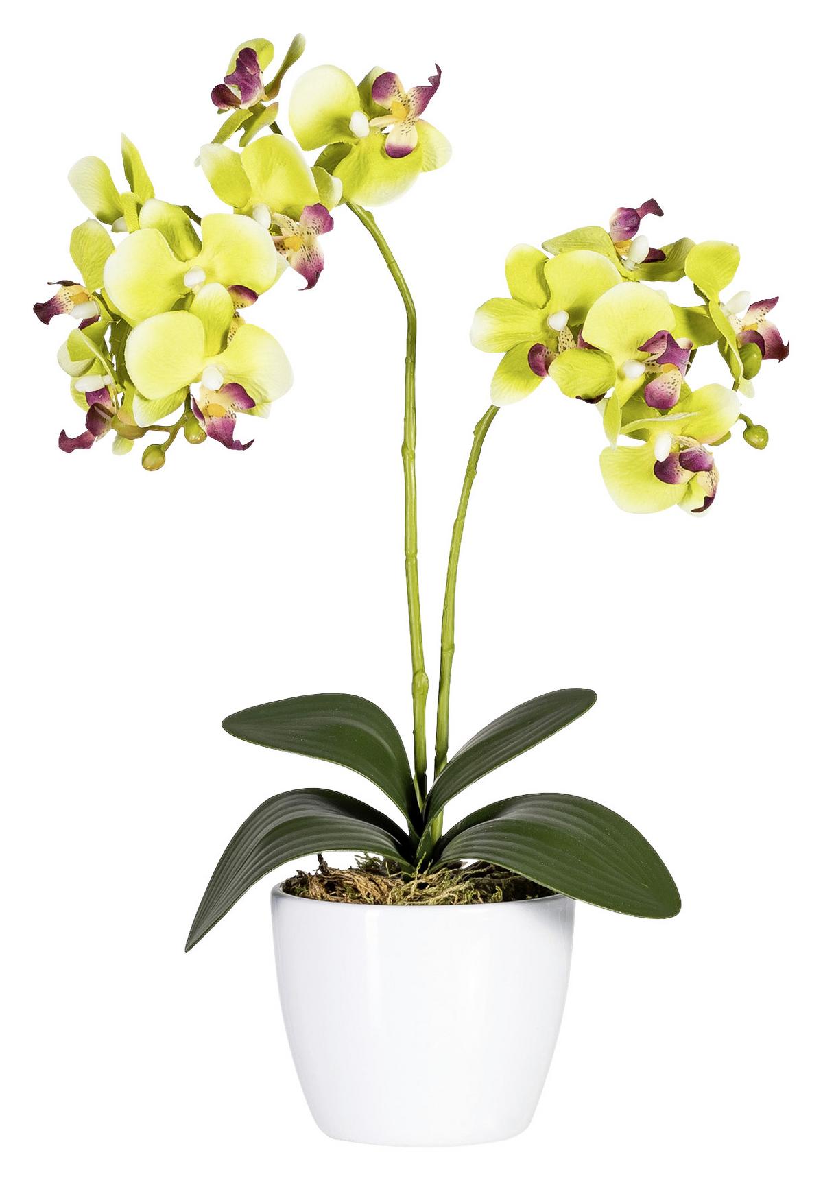 Kunstpflanze Orchidee Bunt L: 40 cm Im Topf, Sofie - Lila/Multicolor, Natur, Kunststoff (40cm)