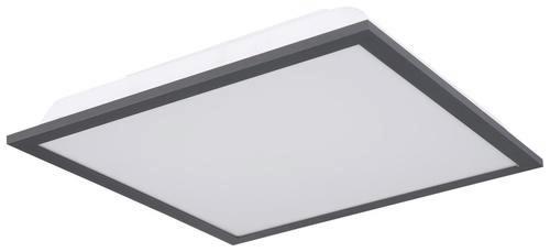 LED-Deckenleuchte Doro L: 30 cm - Opal/Graphitfarben, Basics, Kunststoff/Metall (30/30/6cm) - Globo
