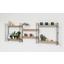 Hängeregal Tomado 70x68cm Massiv, Schwarz/ Buche - Buchefarben/Schwarz, KONVENTIONELL, Holz/Metall (70/68/21cm) - Tomado Hängeregal Tomado 70x68cm Massiv, Schwarz/ Buche - Buchefarben/Schwarz, KONVENTIONELL, Holz/Metall (70/68/21cm) - Tomado