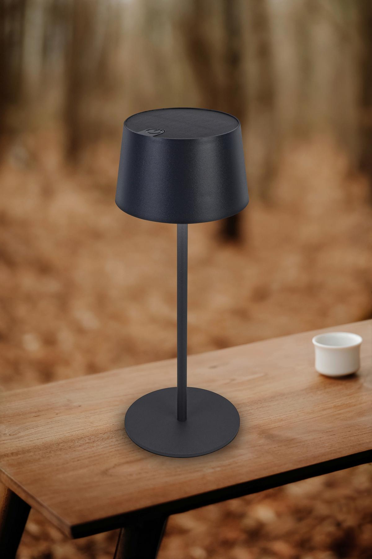 SOLÁRNÍ SVÍTIDLO ZITZ - antracitová, Konvenční, kov/plast (9/25cm) - Mömax