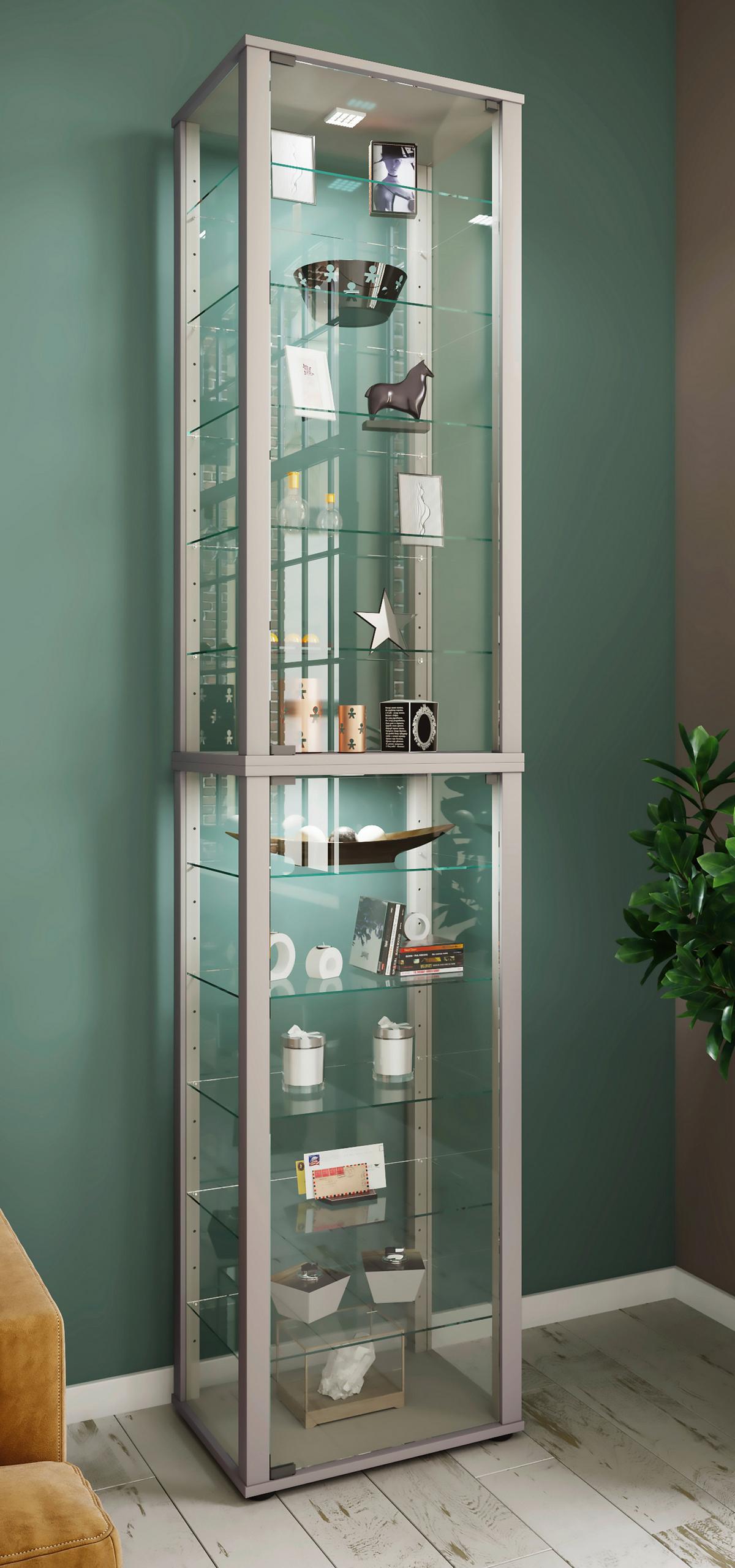 Vitrine Kavisa Silberfarben B: 50 cm - Silberfarben/Schwarz, MODERN, Glas/Holzwerkstoff (50/227/38cm) - MID.YOU