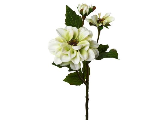 Umelá Kvetina Dalien I - hnedá/zelená, plast (48cm) Umelá Kvetina Dalien I - hnedá/zelená, plast (48cm)