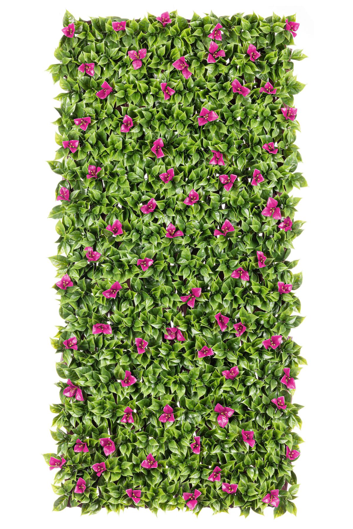 Sichtschutzhecke Elroy - Pink/Walnussfarben, KONVENTIONELL, Kunststoff (200/100cm) - Luca Bessoni