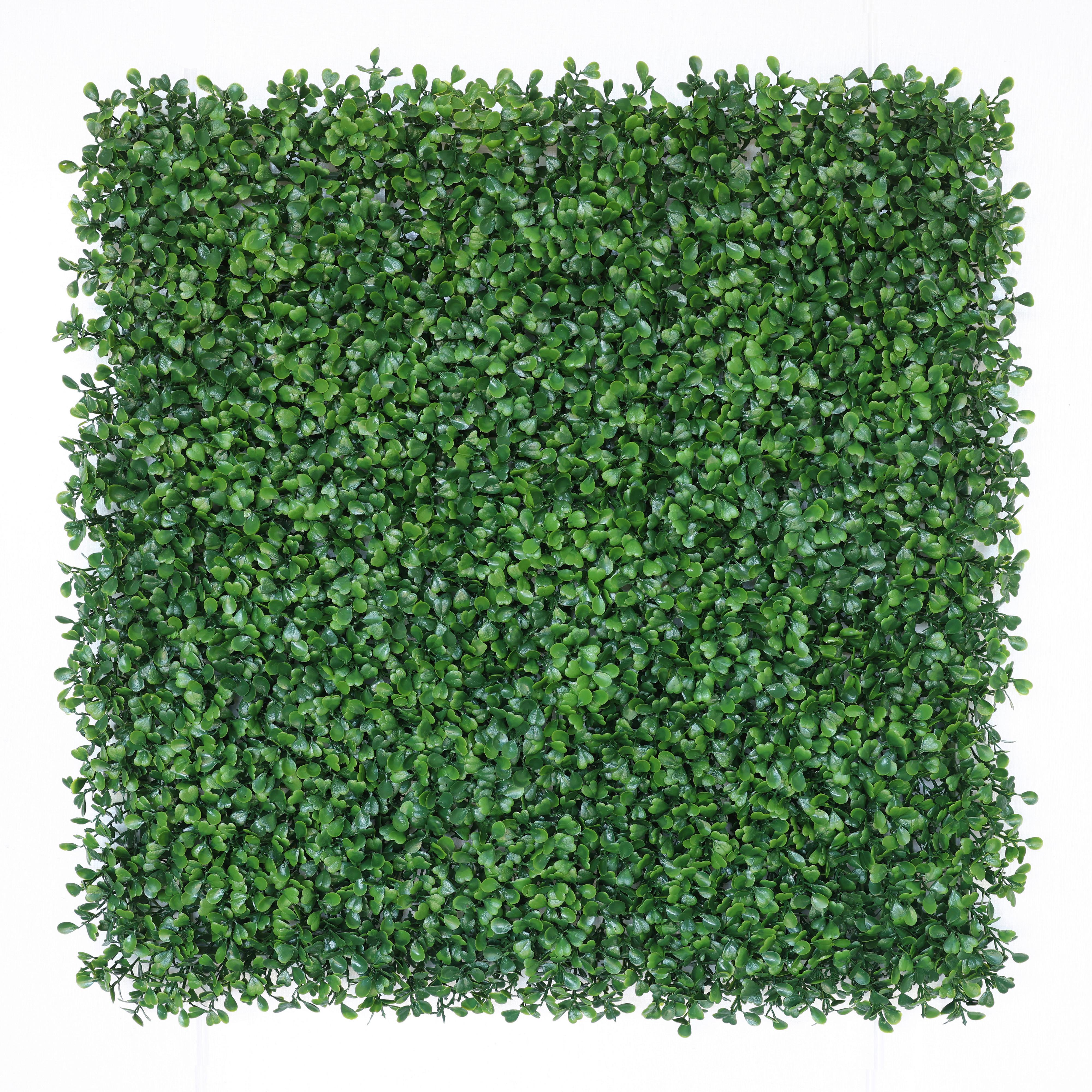 Kunstpflanze Dekogras Grün BxL: 50x50 cm Rory - Grün, MODERN, Kunststoff (50/50cm) - Luca Bessoni