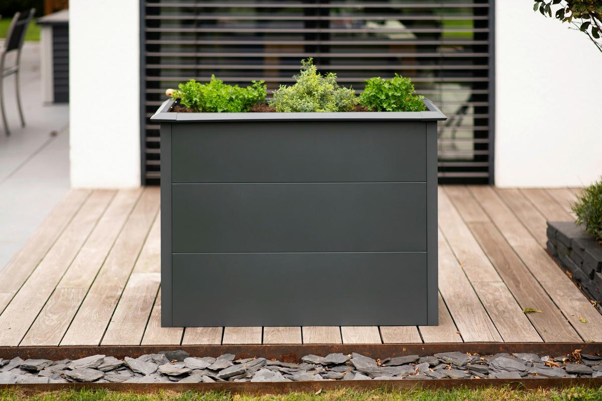 Hochbeet Primus M - Anthrazit, KONVENTIONELL, Metall (50/100/77cm)