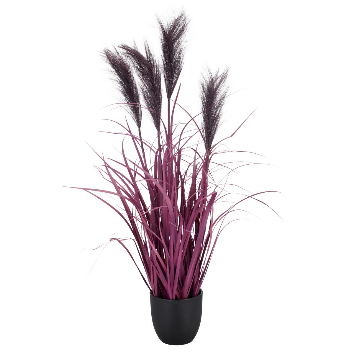 Umelá rastlina PAMPASGRAS I - lila/čierna, Basics, plast (13,5/80cm) - Mömax