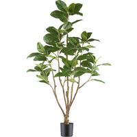 Kunstpflanze Chinesische Feige H: 115 cm - Schwarz/Braun, Design, Kunststoff (115cm) - P & B