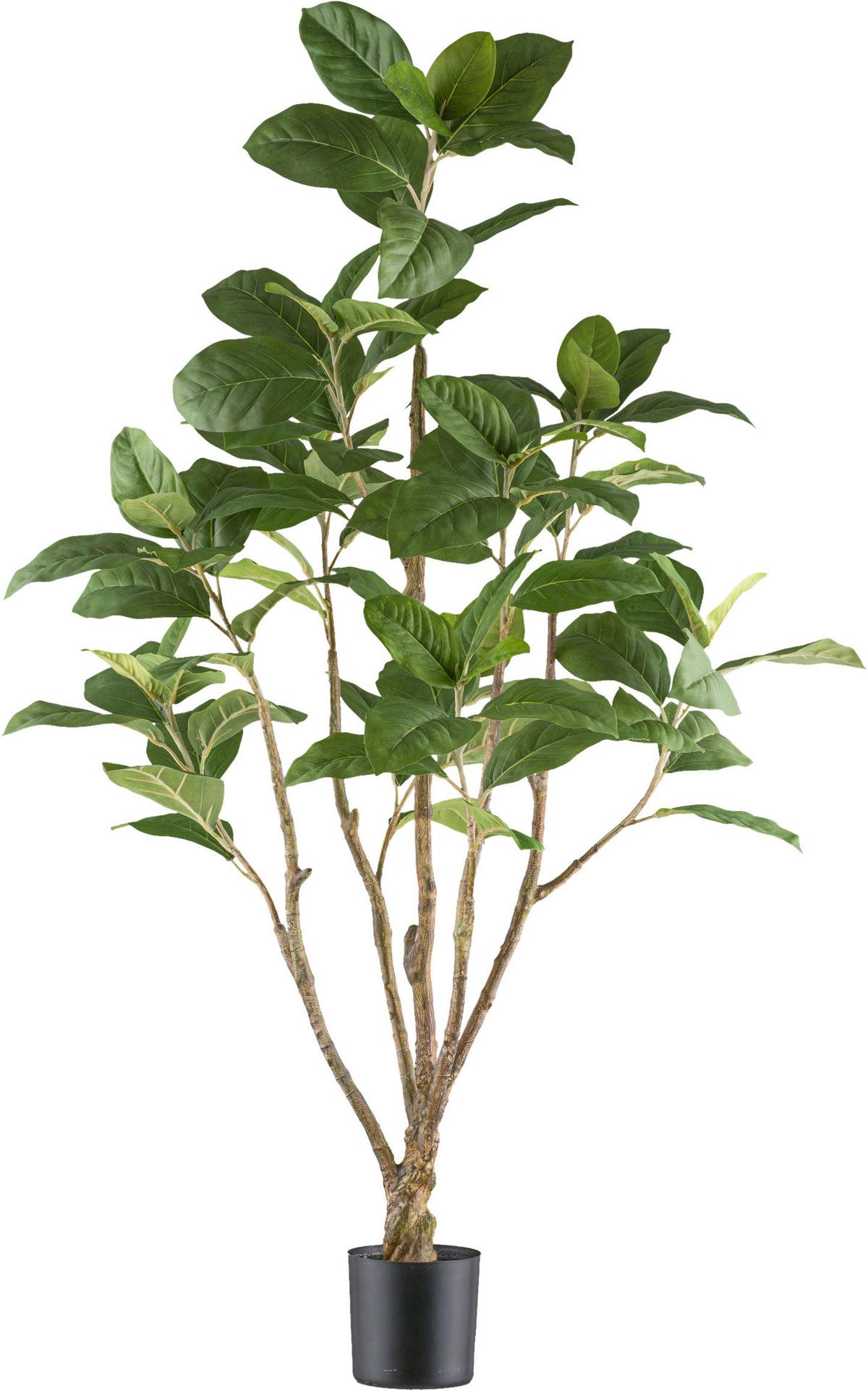 Kunstpflanze Chinesische Feige H: 115 cm - Schwarz/Braun, Design, Kunststoff (115cm) - P & B