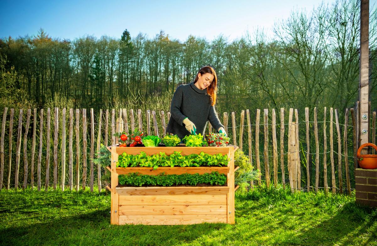 Hochbeet Echtholz Lärche 124x73x91 Cm Lärchefarben - Lärchefarben, Basics, Holz (124/73/91cm)