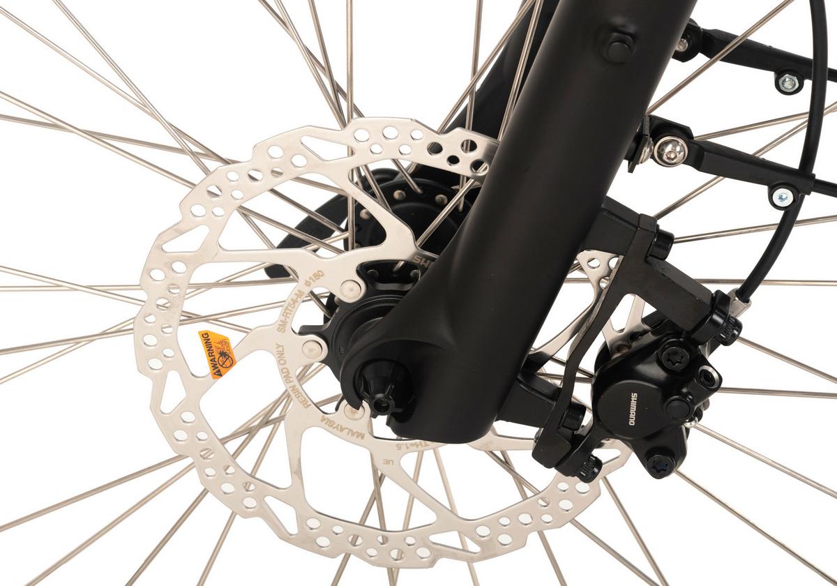 Elektrofahrrad Vogue Slx, Schwarz - Schwarz, Basics, Metall (180/70/100cm)