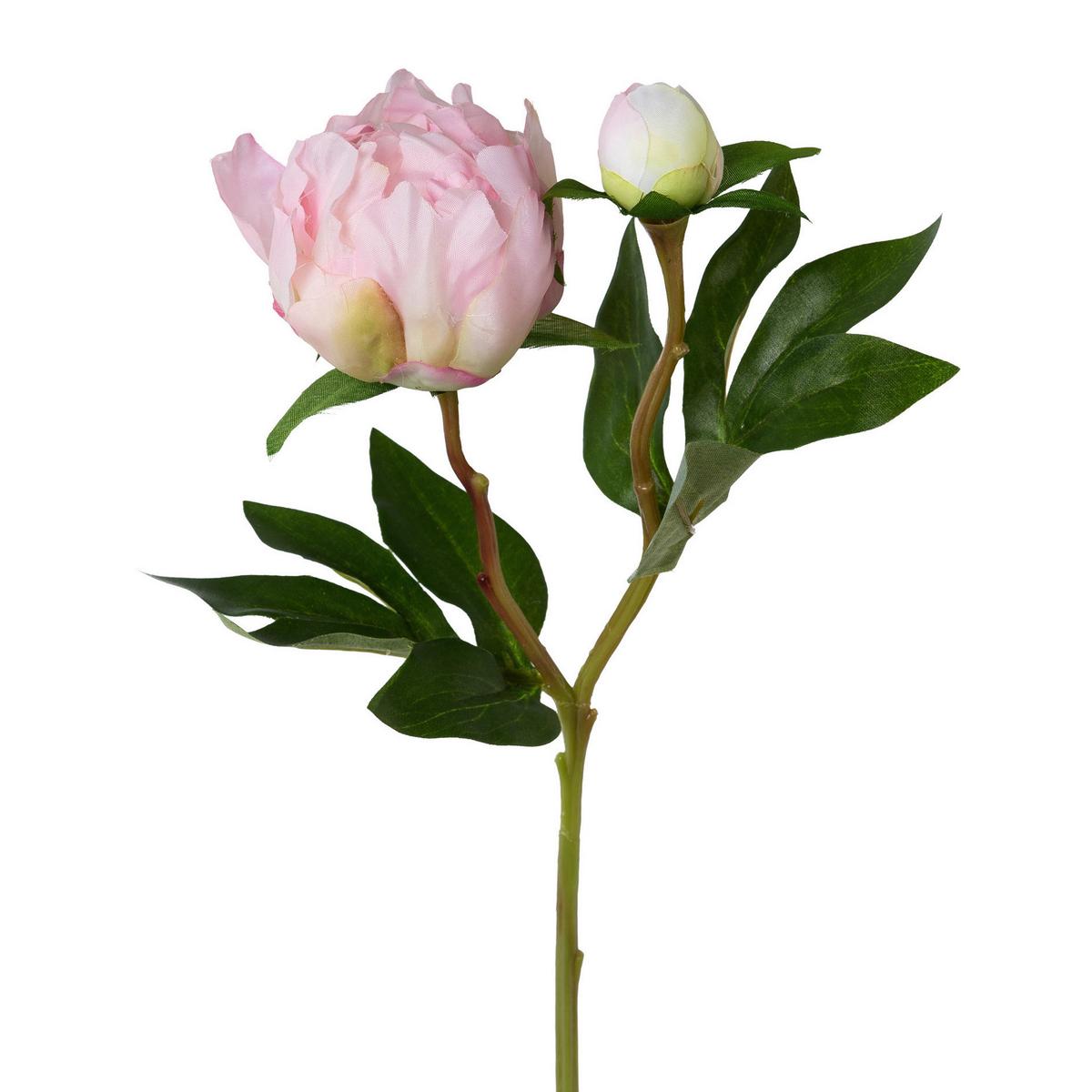 Bazsarózsa Peonie - rózsaszín/zöld, Natur, műanyag (46cm)