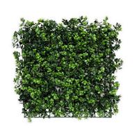 Wandverkleidung Kunstpflanze - Mintgrün, Trend, Kunststoff (50/50cm) - Floordirekt