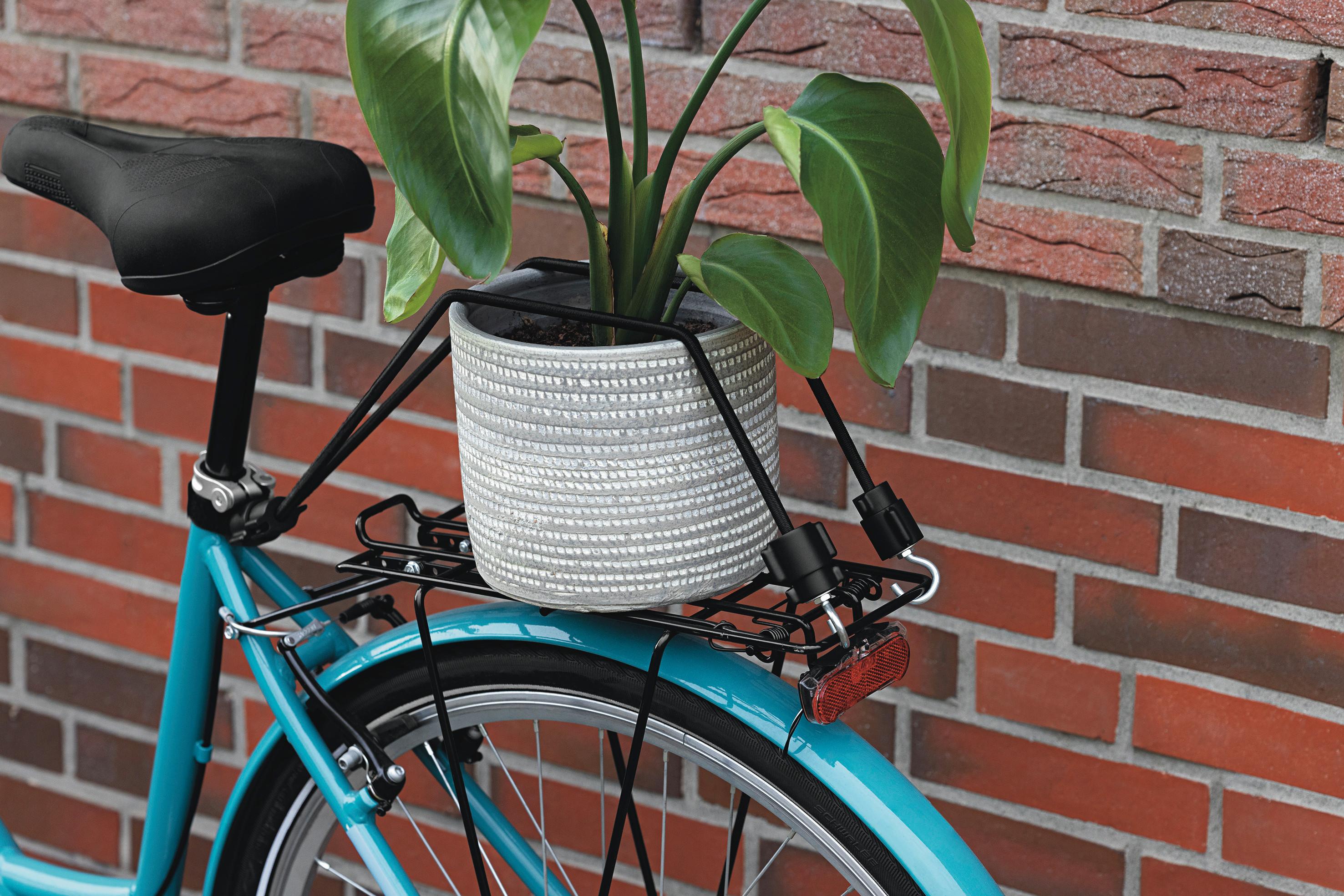 Spanngurt 01909 Modulfix Spanngummi