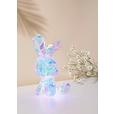 LED-Dekoleuchte Bunny - Transparent, MODERN, Kunststoff (20/20/41cm) - Luca Bessoni