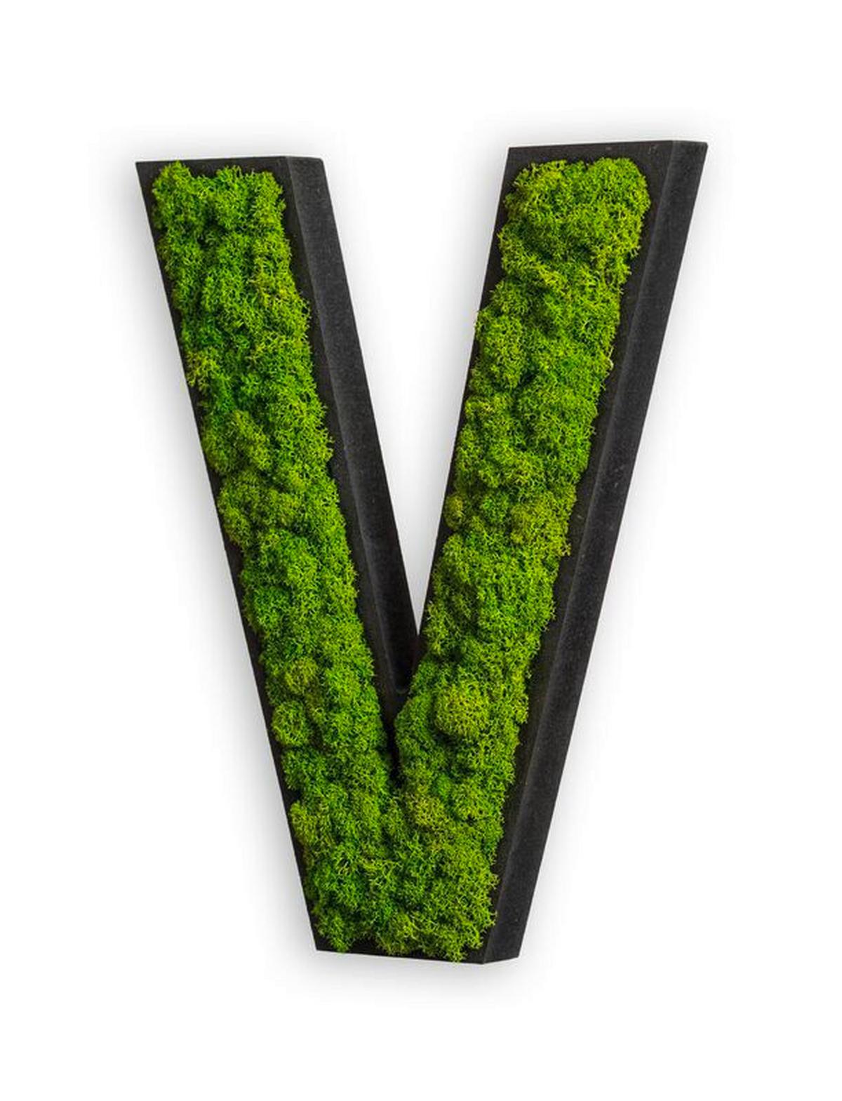 Moosbild Grün B: 26 cm - Schwarz/Grün, Basics, Naturmaterialien/Holz (26/21/4cm)