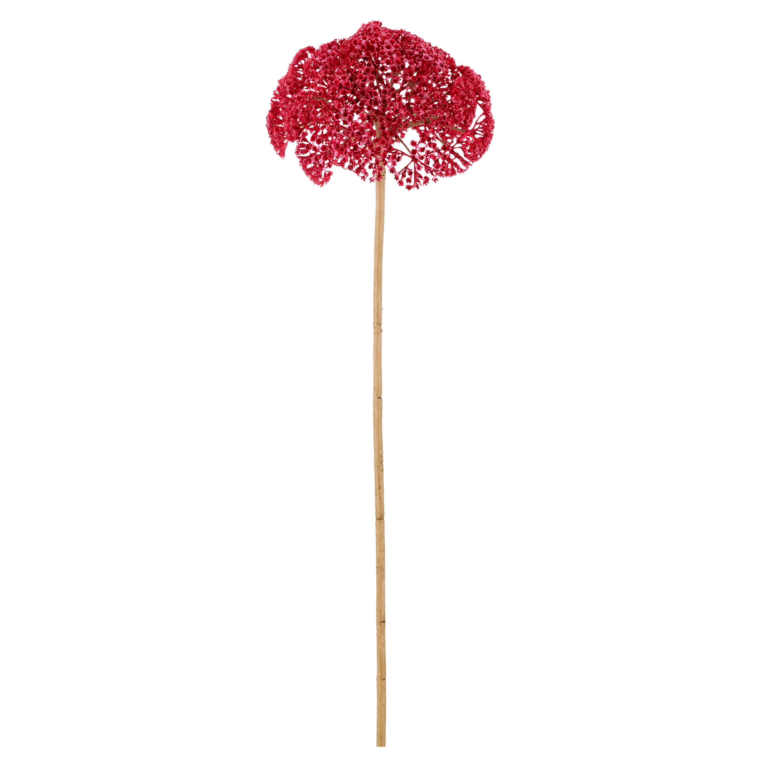 Umelý kvet ACHILLEA I -PAZ- - pink/krémová, Basics, kov/textil (70cm) - Mömax