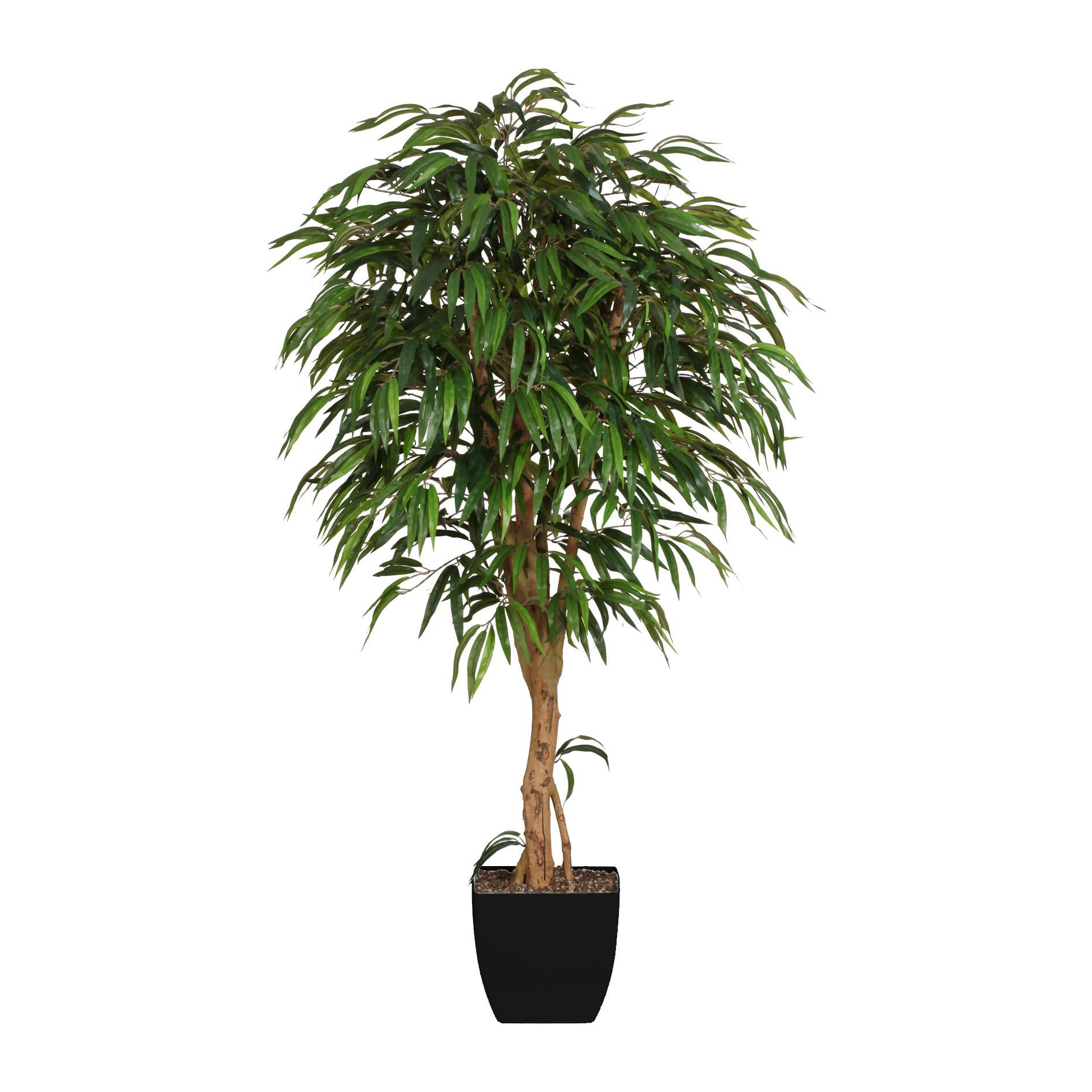 Kunstpflanze mit Naturstamm H: 180 cm - Schwarz/Braun, Design, Naturmaterialien/Kunststoff (180cm) - P & B