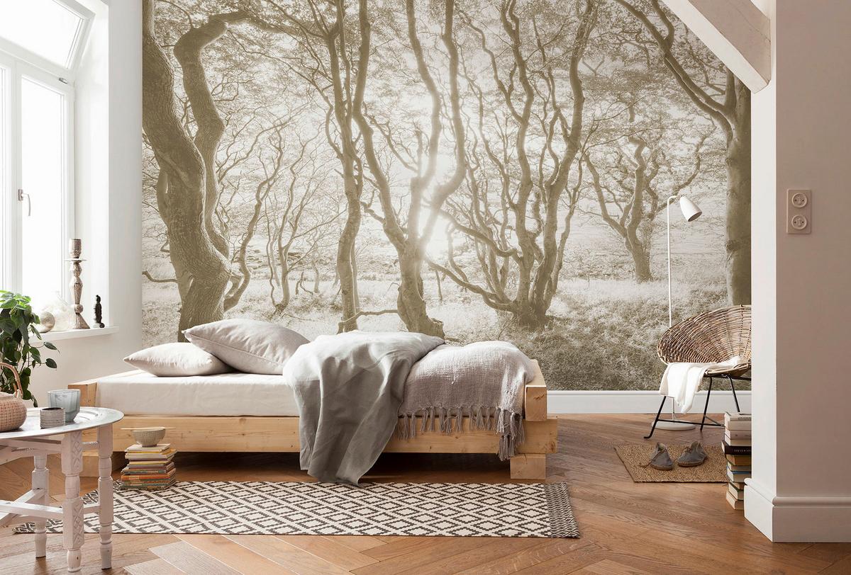 Vliestapete Bleached Birch - Braun/Weiß, Basics (400/250cm) - Komar