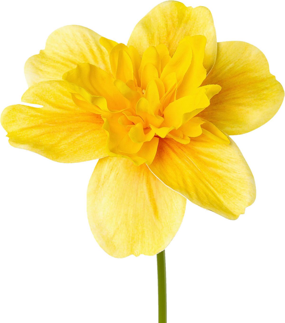 Kunstblume Osterglöckchen Gelb L: 40 Cm, Iris - Gelb/Grün, KONVENTIONELL, Kunststoff (40cm)