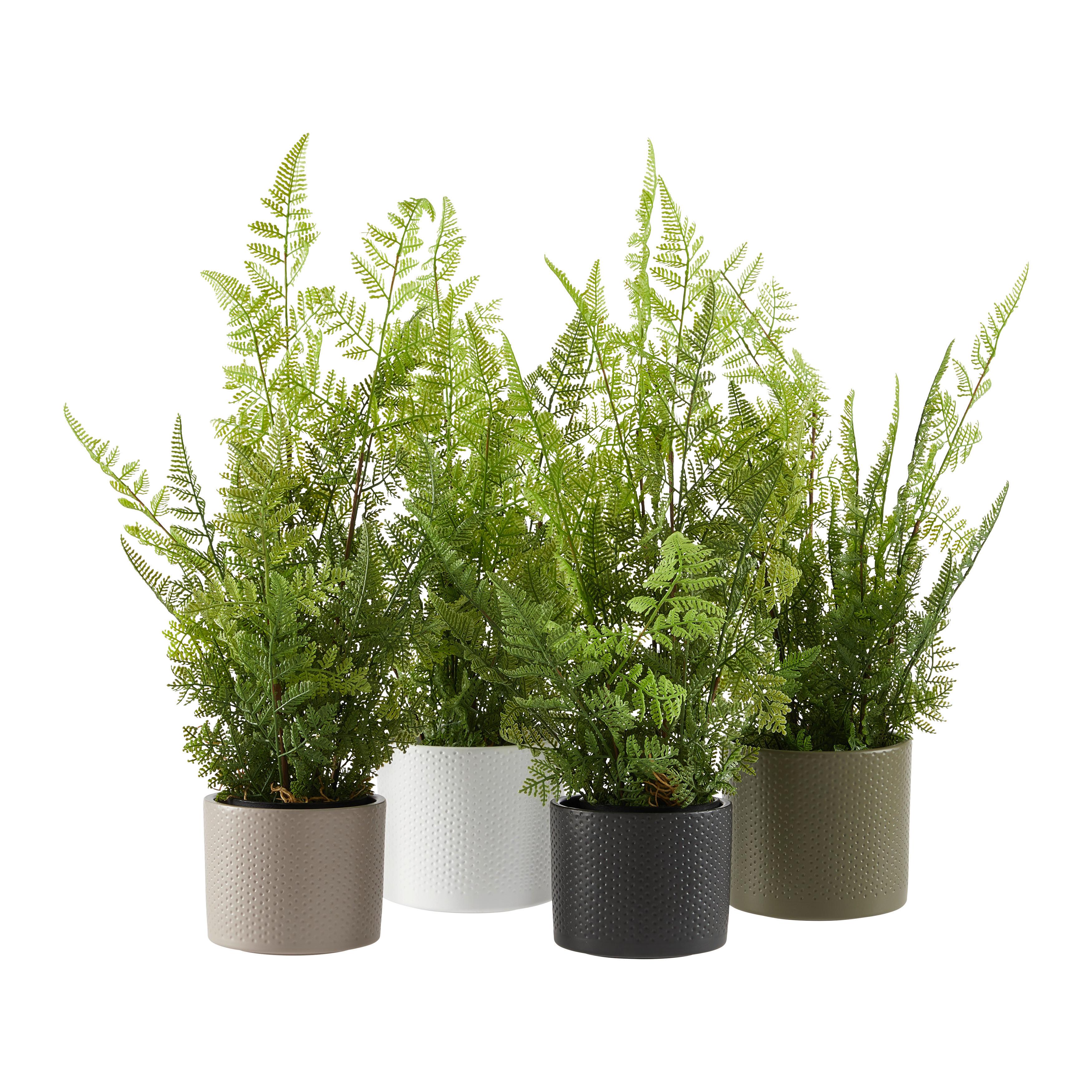 Obal na kvetináč ERA - olivovozelená/biela, Basics, keramika (13,5/12,5cm)