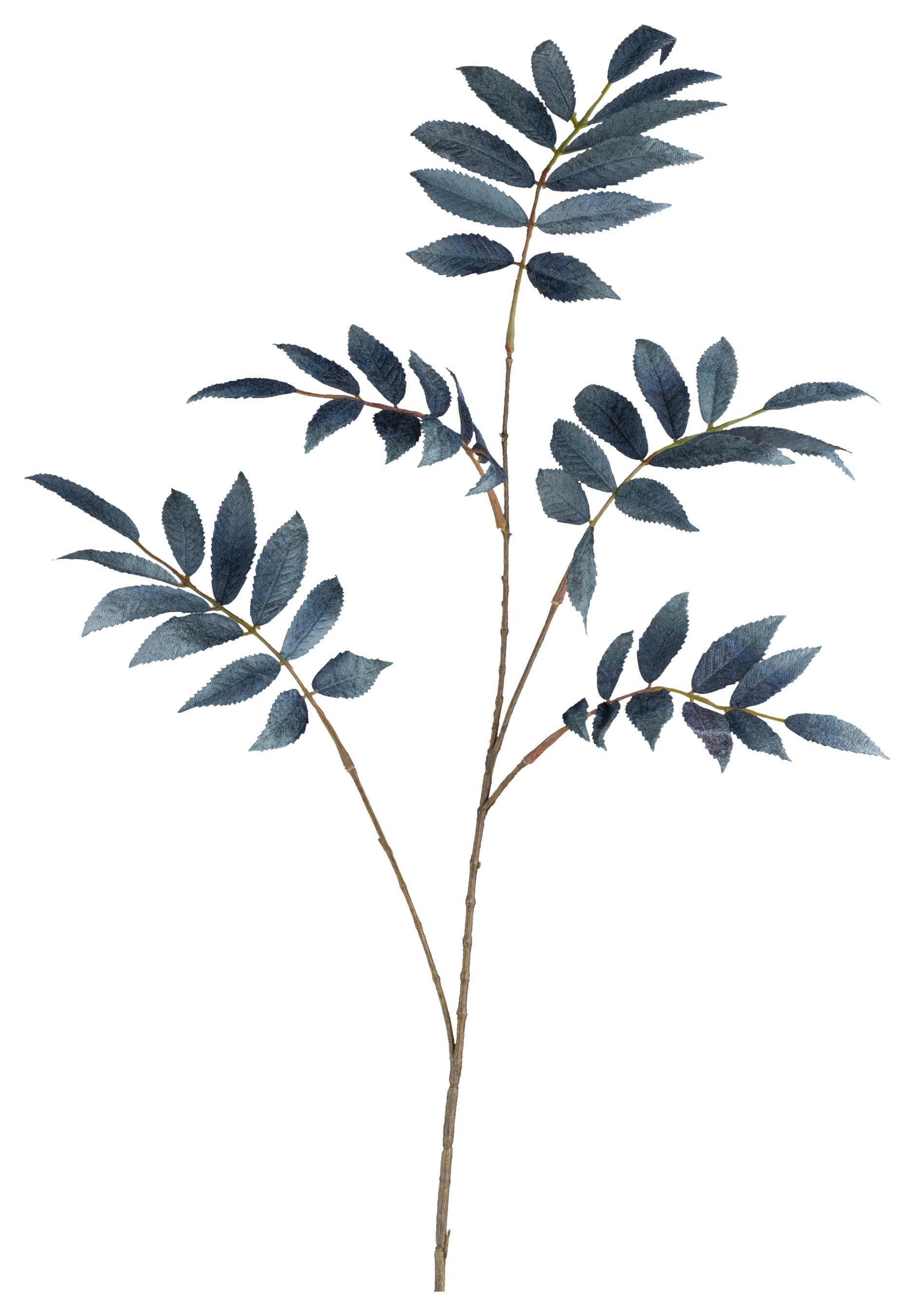 Umělá rostlina Výška: 82 cm - královská modrá/hnědá, Basics, plast (82cm) - Mömax