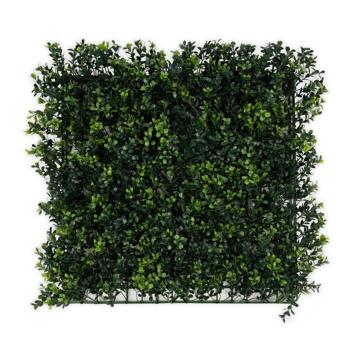Wandverkleidung Kunstpflanze - Dunkelgrün, Trend, Kunststoff (50/50cm) - FloorDirekt