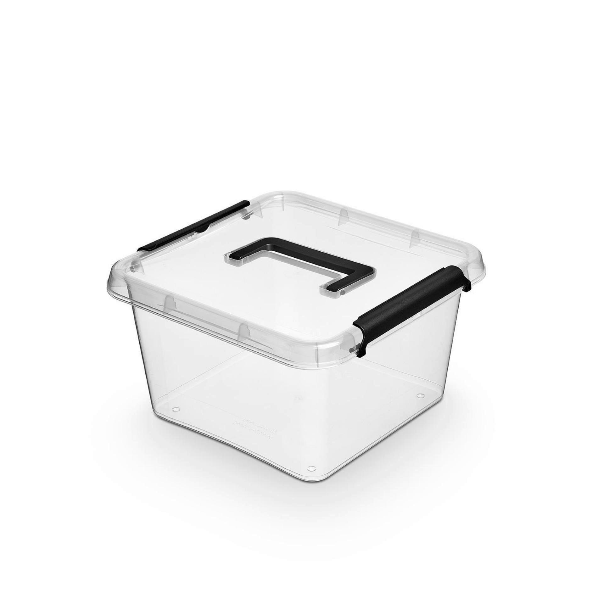 Aufbewahrungsbox mit Deckel Mila 9l, 29,5x29,5x17 cm - Transparent/Schwarz, KONVENTIONELL, Kunststoff (29,5/29,5/17cm) - Homezone