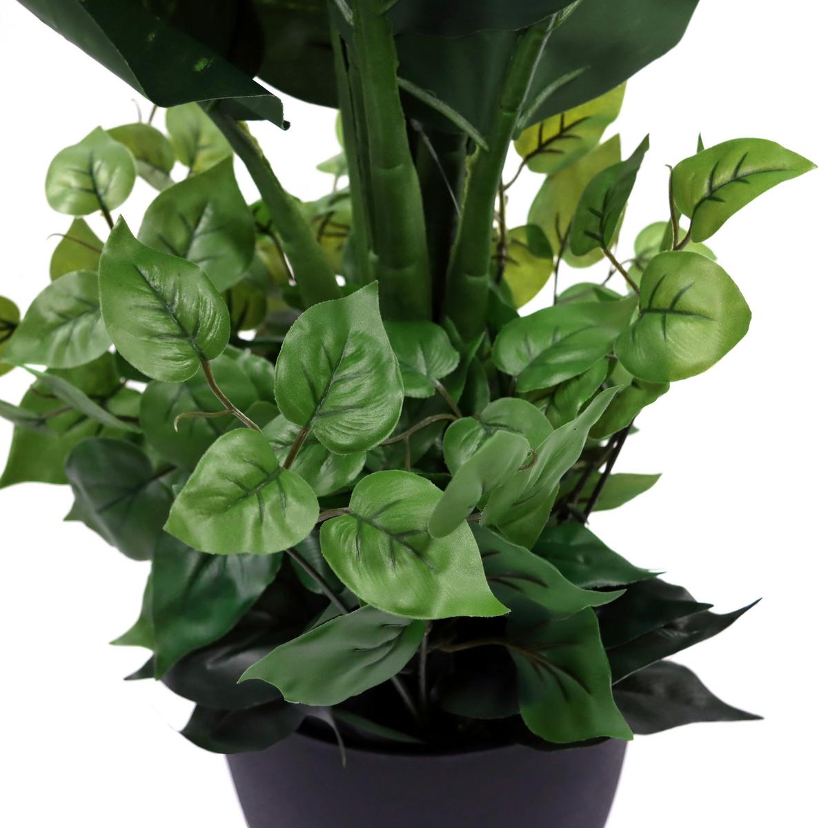 Kunstpflanze Grün/schwarz B: 42 Cm - Schwarz/Grün, MODERN, Kunststoff (42/80/33cm) - MID.YOU