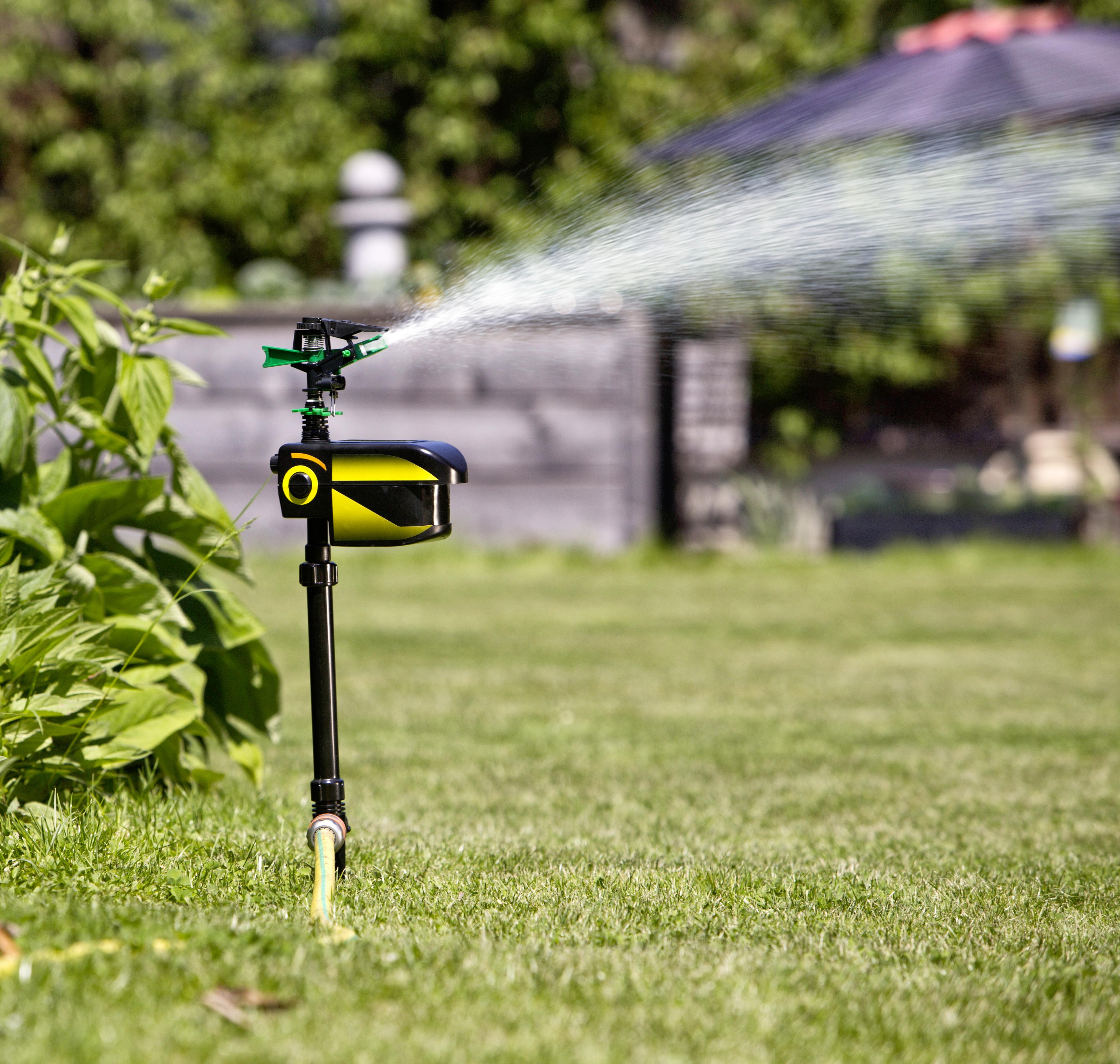 Wassersprinkler-tiervertreiber Mit Bewegungsmelder - Schwarz, Basics (19/11,5/65cm)