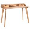 Schreibtisch Accessoires - Buchefarben, Design, Holz (120/60/85cm) - Hasena