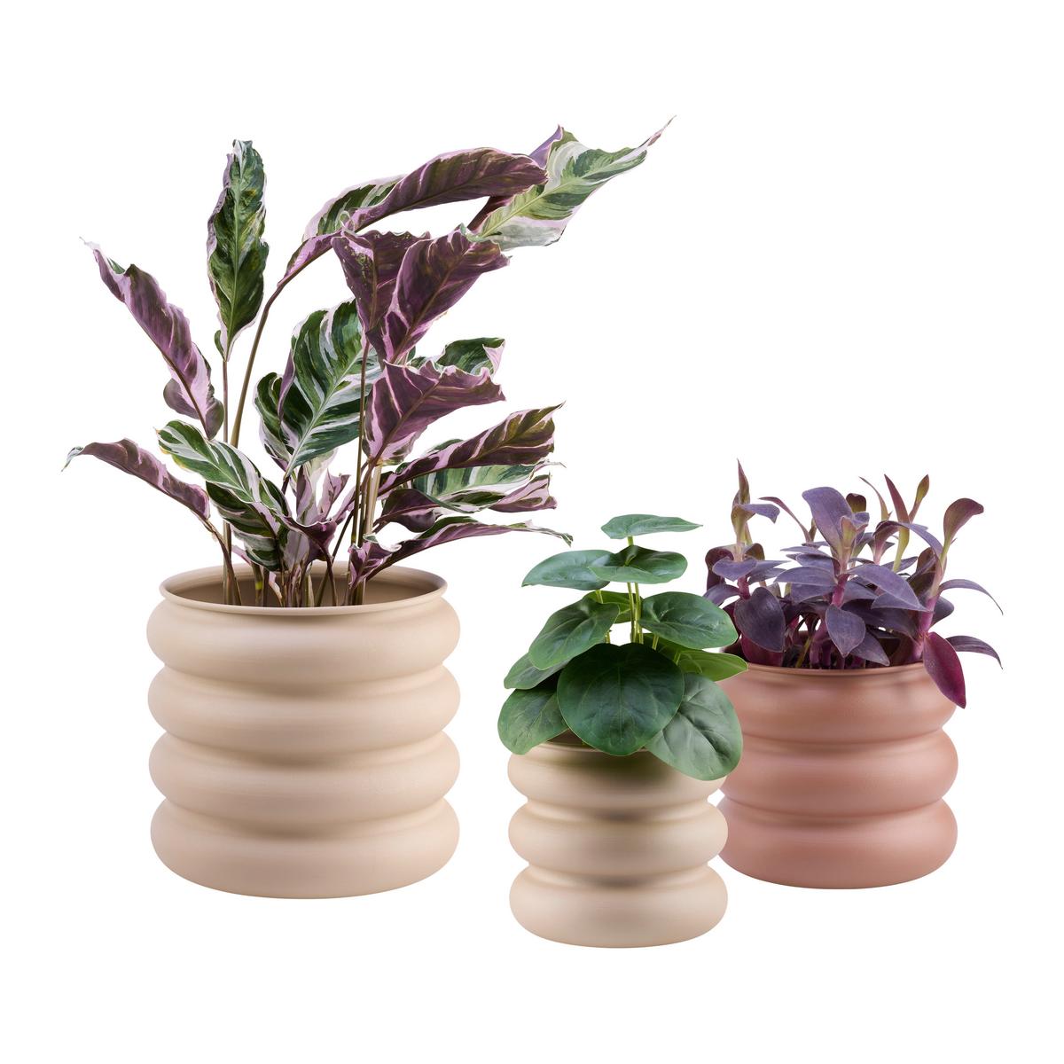 Obal na květináč CARLO - béžová, kov (14,5/14,8/16cm) - Mömax