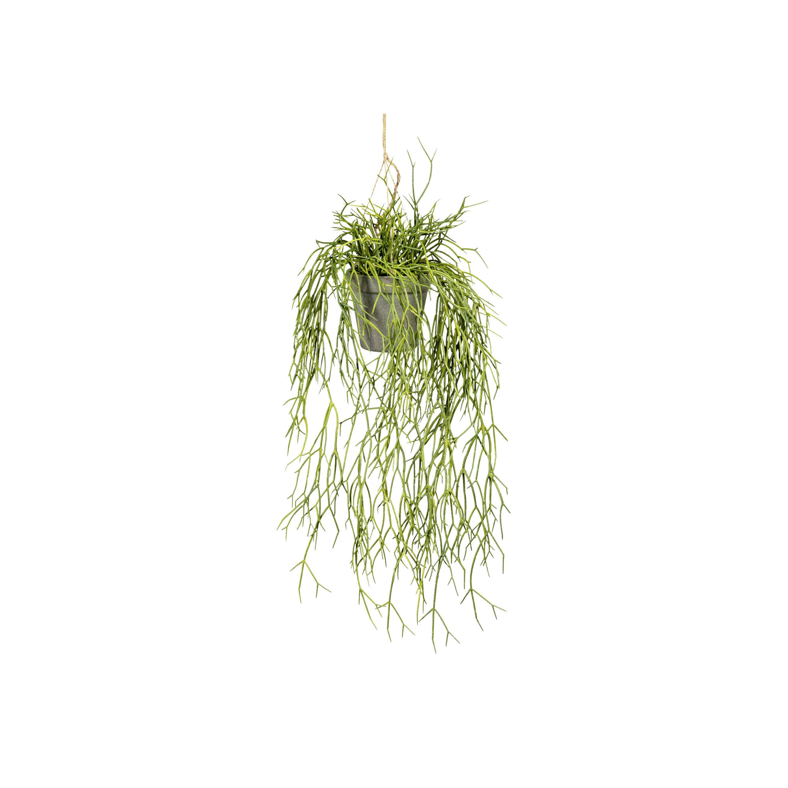 Kunstpflanze, Grün inkl. Aufhängung, H: 60 cm - Grau/Grün, Design, Kunststoff (60cm) - P & B