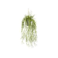 Kunstpflanze, Grün inkl. Aufhängung, H: 60 cm - Grau/Grün, Design, Kunststoff (60cm) - P & B