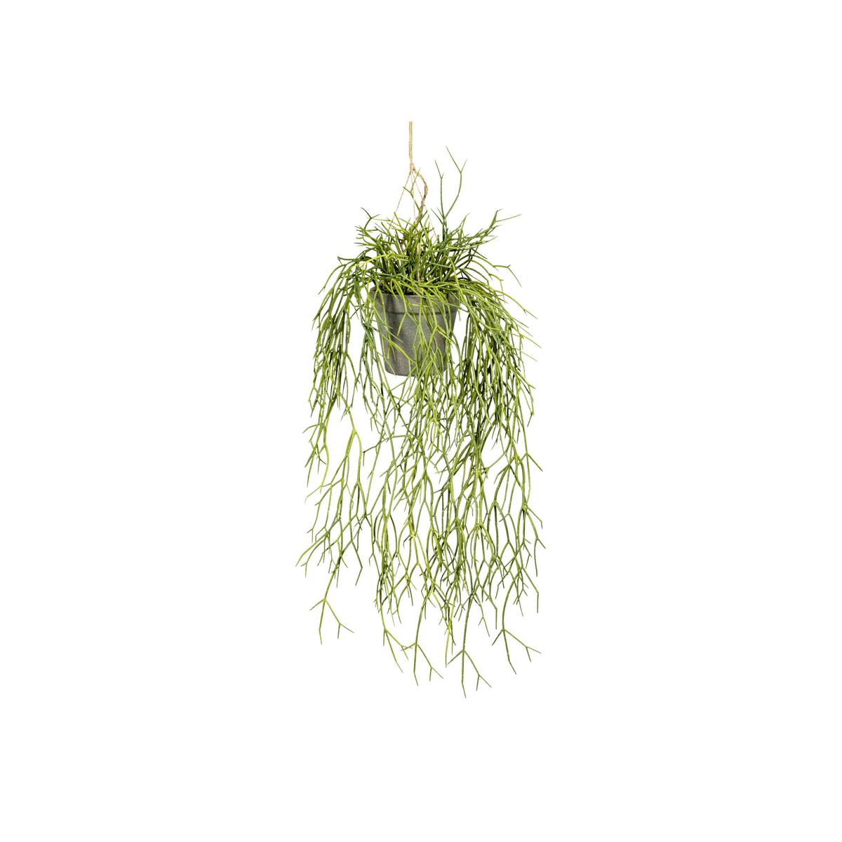 Kunstpflanze, Grün inkl. Aufhängung, H: 60 cm - Grau/Grün, Design, Kunststoff (60cm) - P & B