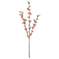 Umělá rostlina CRANBERRYZWEIG I - oranžová/zelená, Basics, plast (60cm) - Mömax