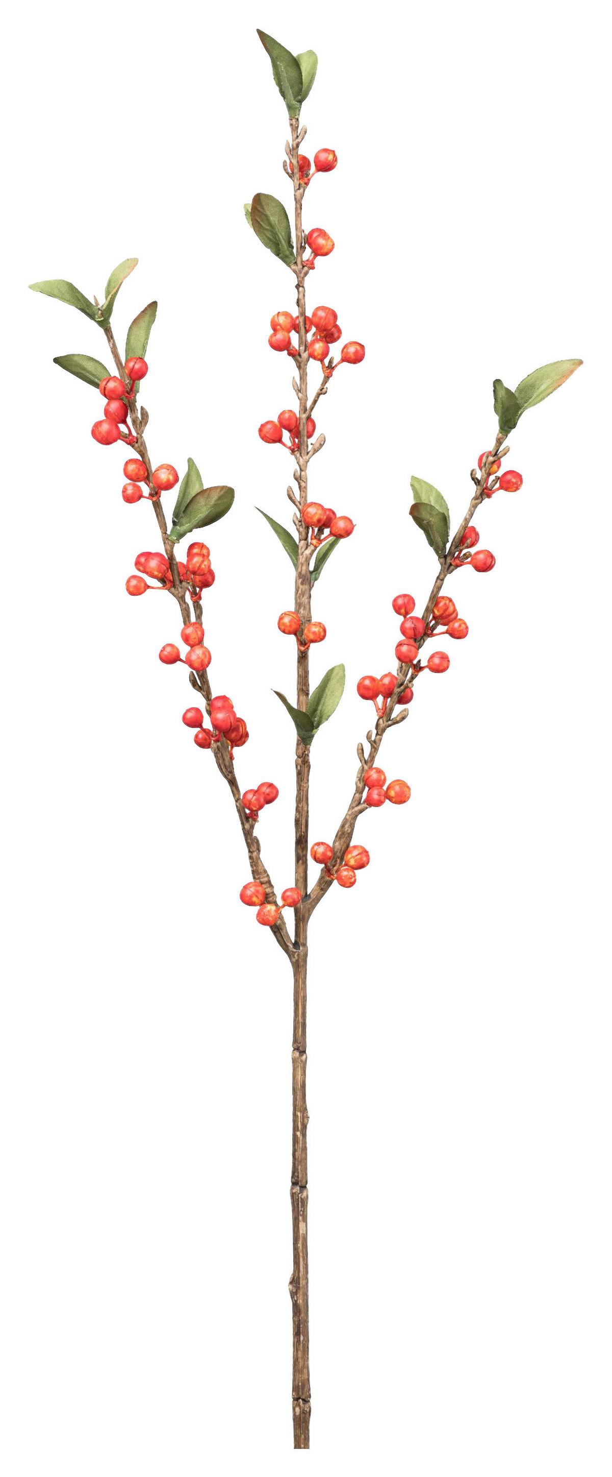 Umělá rostlina CRANBERRYZWEIG I - oranžová/zelená, Basics, plast (60cm) - Mömax