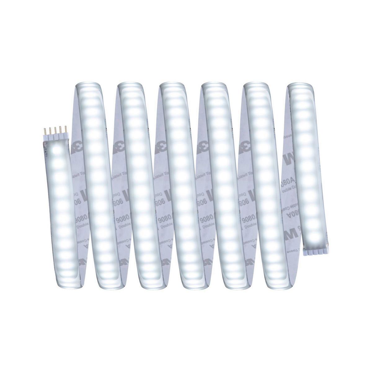 Led-streifen 2,5 M Dimmbar - Silberfarben, Basics, Kunststoff (250cm) - Paulmann