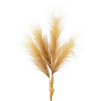 Umelá rastlina Pampová tráva, V: 107cm - prírodná farba, Modern, plast (107cm) - Modern Living
