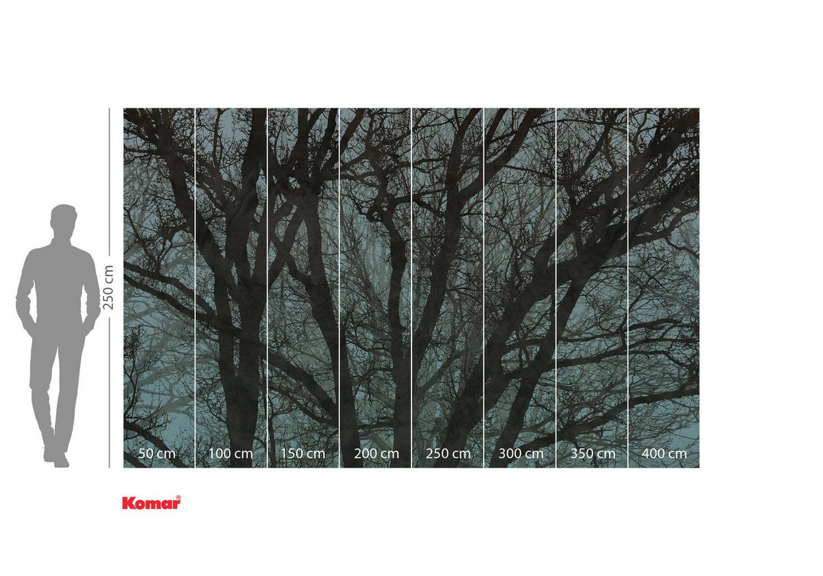 Vliestapete Whispering Woods - Blau/Schwarz, Basics (400/250cm) - Komar