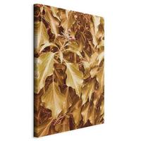 Leinwandbild Autumn Aura Hellbraun B: 40 cm - Hellbraun, Basics, Holzwerkstoff/Textil (40/60/1,2cm) - artgeist