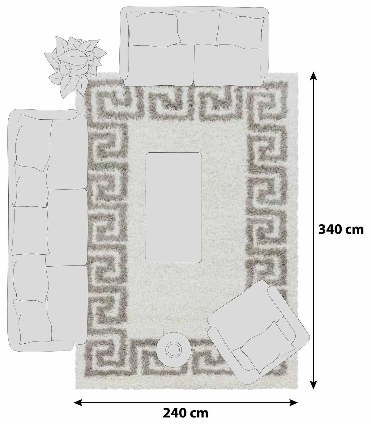 Hochflor Teppich Beige Naturfaser Hera 240x340 cm - Beige, Design, Textil (240/340cm)