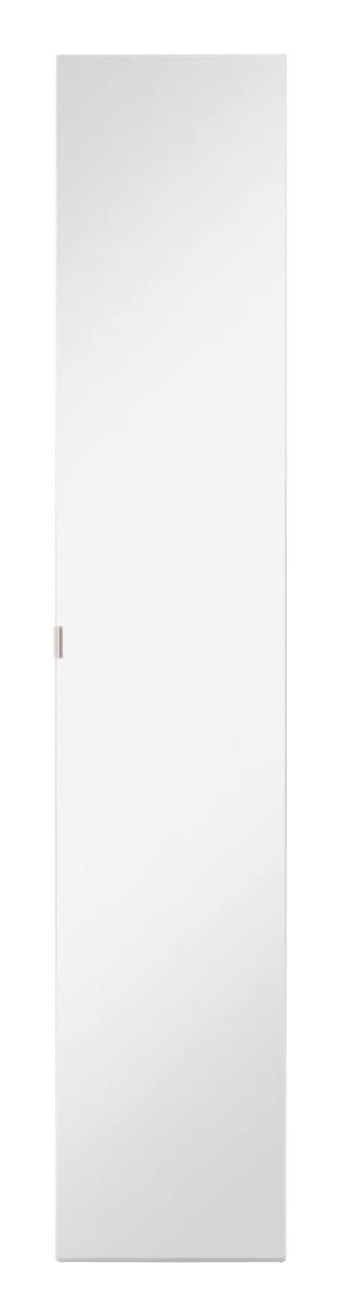 Spiegeltür Unit B: 45,3 Cm Klarspiegel/alufarben - Alufarben, MODERN, Holzwerkstoff (45,3/232,6/1,8cm) - Ondega