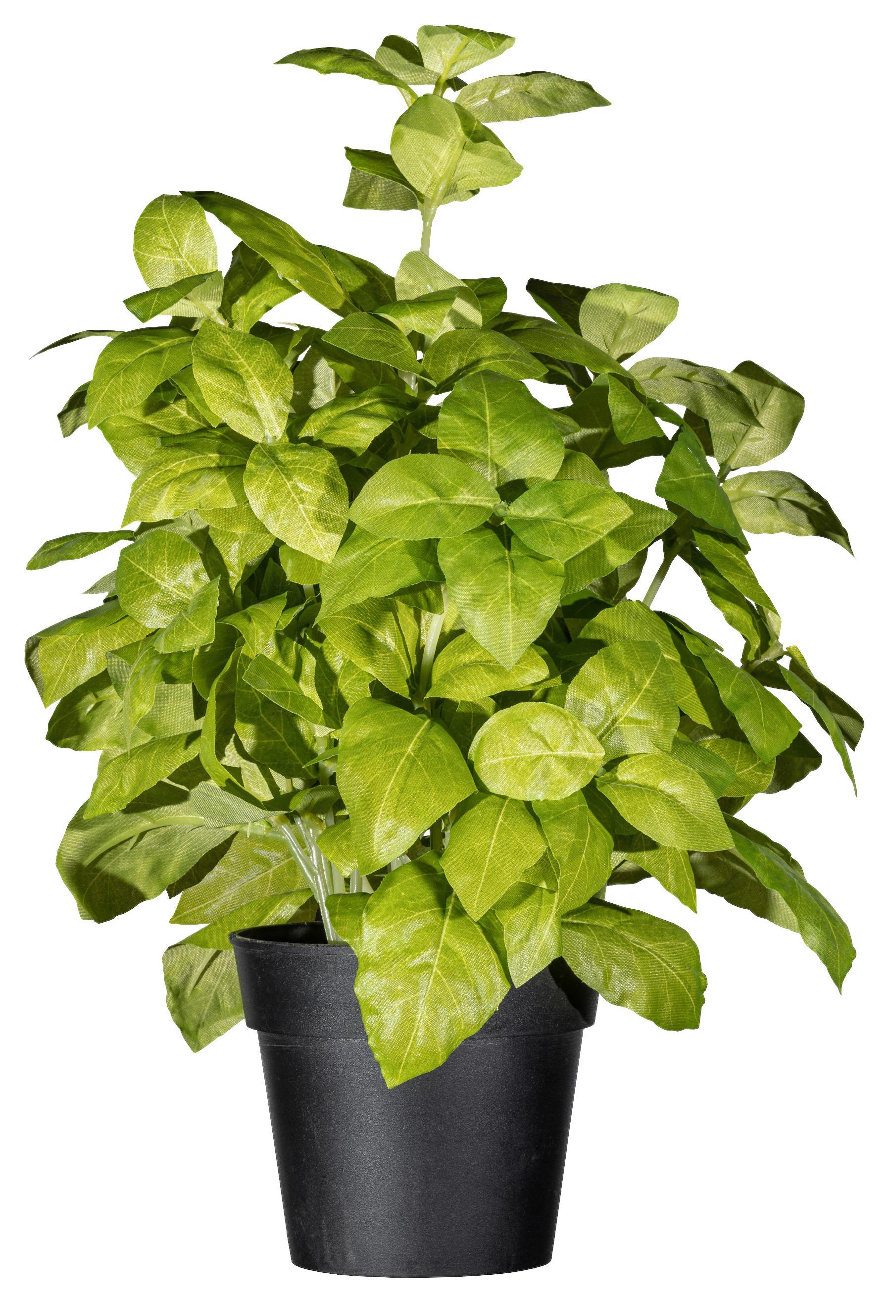 Kunstpflanze Kräuter Grün/schwarz, 30 Cm - Schwarz/Grün, Design, Kunststoff (30cm) - P & B