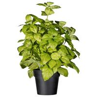 Kunstpflanze Kräuter Grün/schwarz, 30 Cm - Schwarz/Grün, Design, Kunststoff (30cm) - P & B